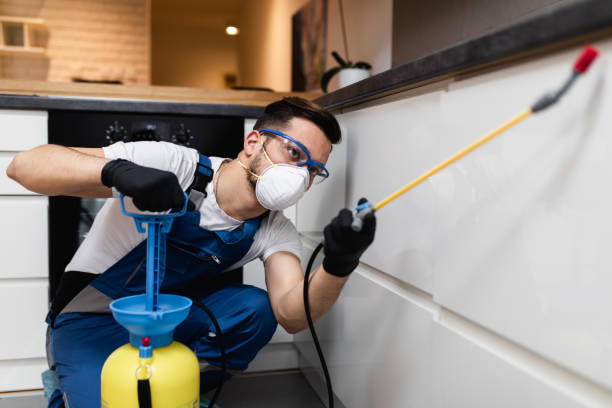 Best Pest Removal Services  in Kodi, AK