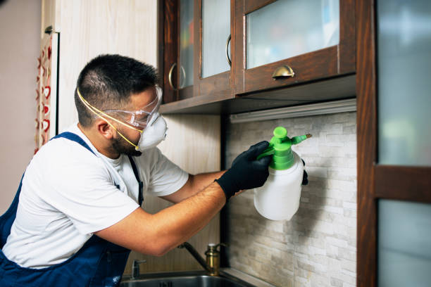 Best Emergency Pest Control  in Kodi, AK