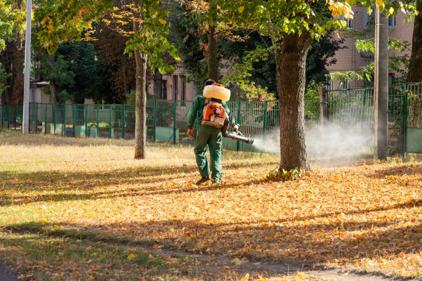 Best Pest Prevention Services  in Kodi, AK