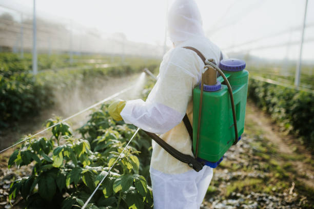 Pest Control Cost in Kodiak, AK